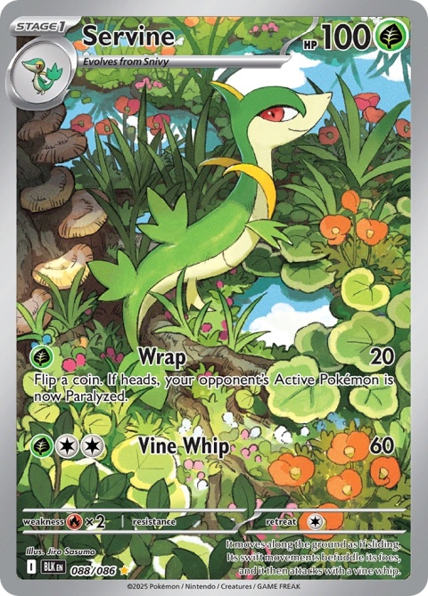 Pokémon TCG: Servine # 088 Pokemon Black Bolt Pokémon TCG: Servine # 088 Pokemon Black Bolt