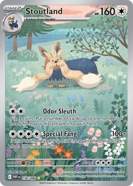 Pokémon TCG: Stoutland # 156 Pokemon White Flare